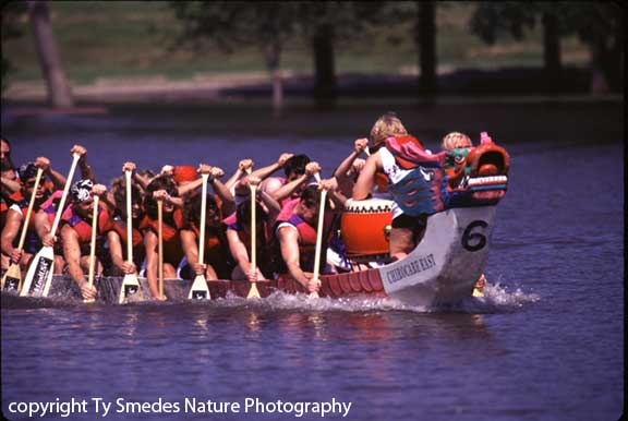 Dragon Boat Races, Cedar Rapids Iowa