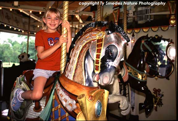 Heritage Carousel, Des Moines Iowa