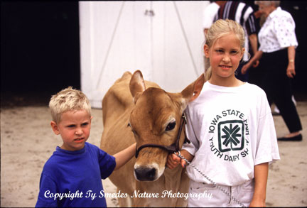 Iowa State Fair, in Des Moines Iowa