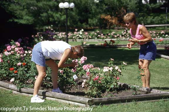 Rose Festival, State Center, Iowa