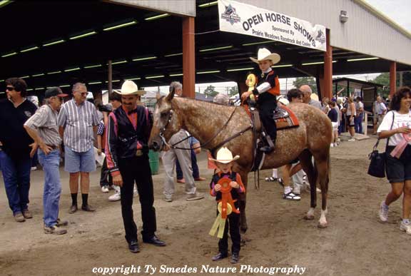 Junior winners at the Iowa State Fair horse show