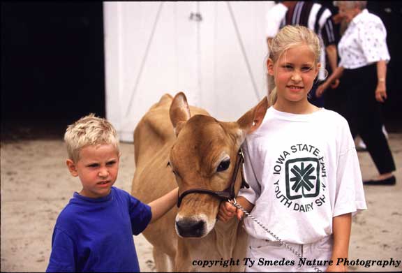 Junior winners at the Iowa State Fair Youth Dairy Show