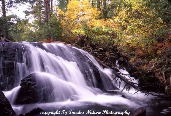 Eastern Sierras Water Fall