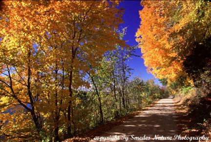 Fall Color along the Upper Mississippi River