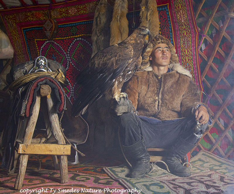 Mongolian Hunter and Golden Eagle in Ger